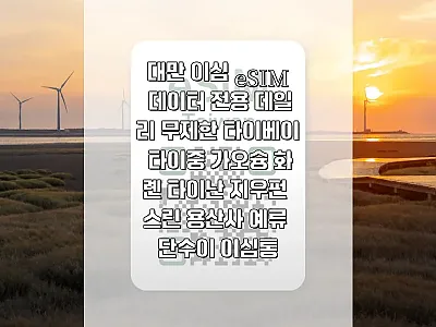 대만 이심 eSIM 1,350원 구매 관련 이미지